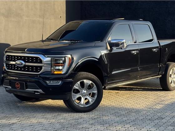 FORD F-150 5.0 V8 GASOLINA CD PLATINUM FX4 AUTOMÁTICO
